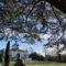 Chiswick House © Muriel Girard, 2021.