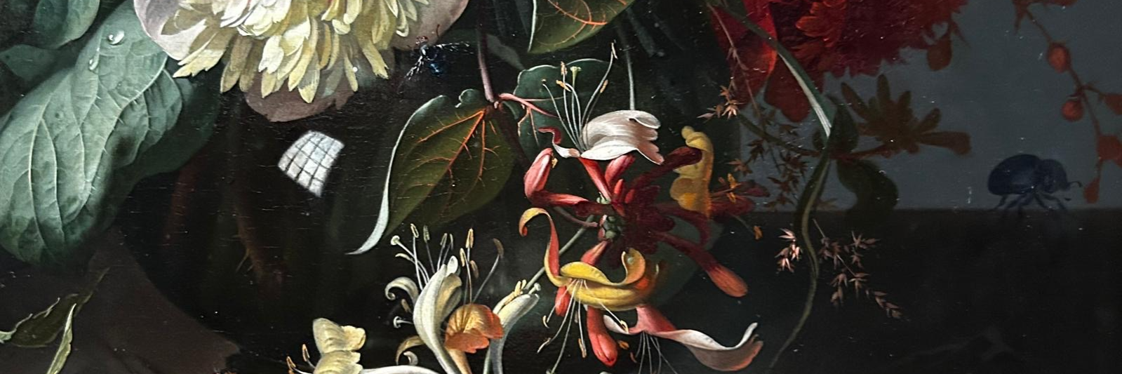 Full Bloom at the NG 1 © Muriel Carré, 2024